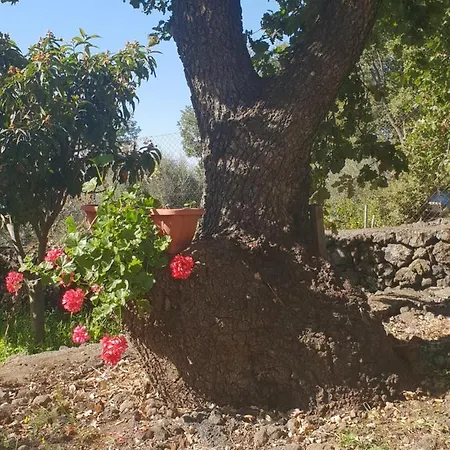 Holiday home Alle Pendici Dell'etna *