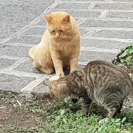 Prázdninový dům Alle Pendici Dell'etna Ragalna